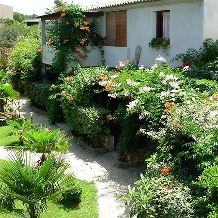 L'ulivo