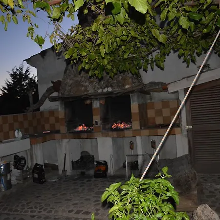 L'ulivo Holiday home *