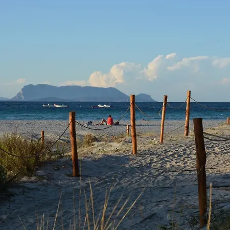 Holiday home L'ulivo Budoni
