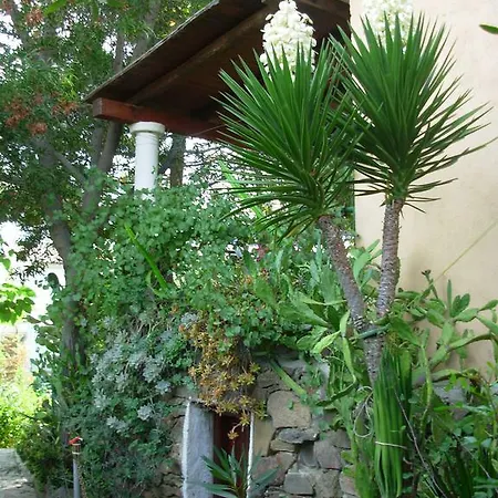 L'ulivo Budoni