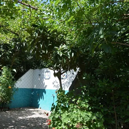 L'ulivo Holiday home Budoni