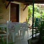 L'ulivo *