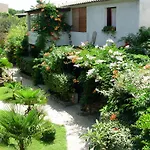 L'ulivo
