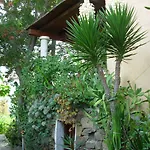L'ulivo Budoni
