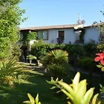 L'ulivo