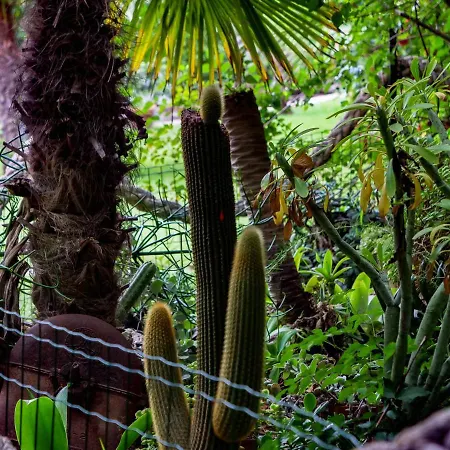 Hébergement de vacances L'ulivo *