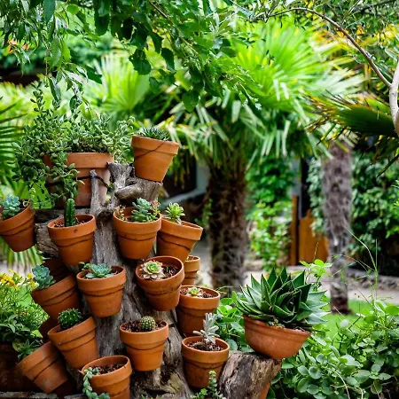 Hébergement de vacances L'ulivo *