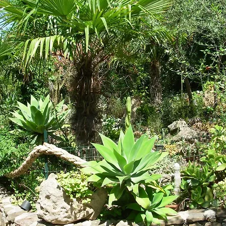 L'ulivo Hébergement de vacances Budoni