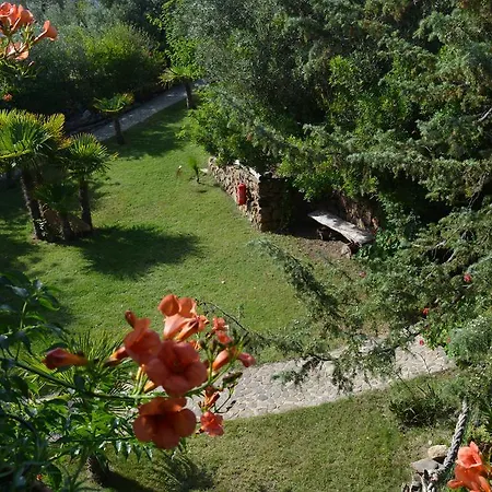 L'ulivo Hébergement de vacances *