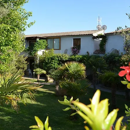L'ulivo