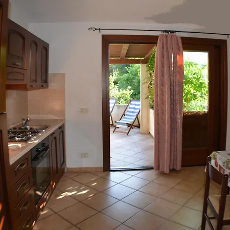 L'ulivo